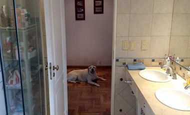 Venta de casa 5 ambientes Haedo