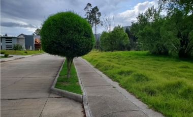 lotizacion de terrenos en venta en chaullabamba challuabamba