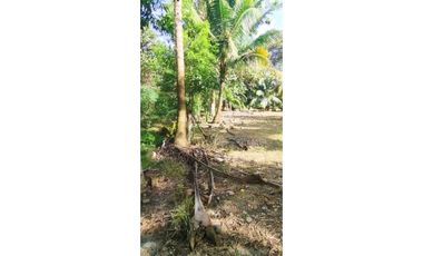 VENDO LOTE TITULADO DE 2871M2 LA ESPERANZA
