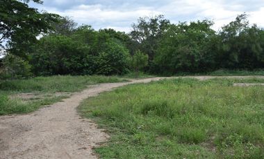 VENTA LOTE CENABASTOS