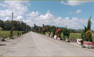 50Jt-an: Tanah Murah Ketangi Purworejo