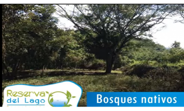 Venta Lote - Parcelación Reserva del Lago - SOPETRAN Antioquia