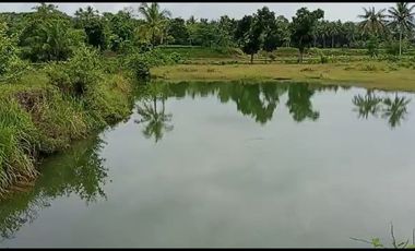 DIJUAL KAVLING LUAS HARGA OK di Kawasan Tanjung Lesung