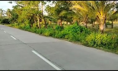 DIJUAL KAVLING LUAS HARGA OK di Kawasan Tanjung Lesung