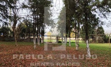 QUINTA CON QUINCHO Y PISCINA, CASA 4 AMBIENTES Y CASA DE CASEROS. PONTEVEDRA, MERLO. ZONA OESTE. BUENOS AIRES