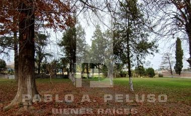 QUINTA CON QUINCHO Y PISCINA, CASA 4 AMBIENTES Y CASA DE CASEROS. PONTEVEDRA, MERLO. ZONA OESTE. BUENOS AIRES
