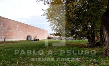 QUINTA CON QUINCHO Y PISCINA, CASA 4 AMBIENTES Y CASA DE CASEROS. PONTEVEDRA, MERLO. ZONA OESTE. BUENOS AIRES