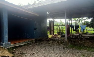 Jual murah rumah + tanah ada air mengalir dekat masjid didaerah dingin pedesaan Wanayasa kab Purwakarta