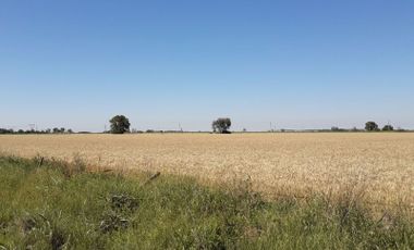 CAMPO EN ALDAO 7.3 hectáreas para emprendimiento a 600 metros del pueblo