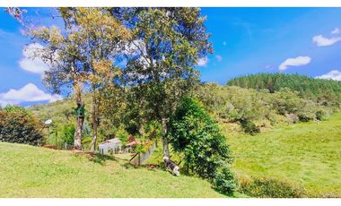 Venta de Finca Independiente Juan XXIII