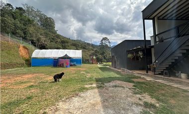 FINCA SABANETA VEREDA LA DOCTORA LLEGANDO A LAS LOMITAS