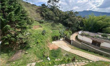 FINCA SABANETA VEREDA LA DOCTORA LLEGANDO A LAS LOMITAS