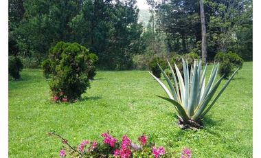 HACIENDA EN VENTA EN OTAVALO