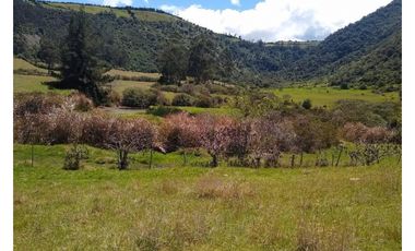 HACIENDA EN VENTA EN OTAVALO