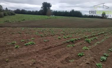 Agrícola en Venta en Campo cercano a Río Frío, 100 hectáreas
