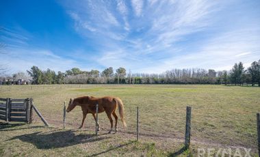 Venta Casa 5 Ambientes 1 Hectarea Pileta Lujan
