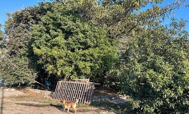 Venta Terreno Tlayecac, Ayala, Morelos