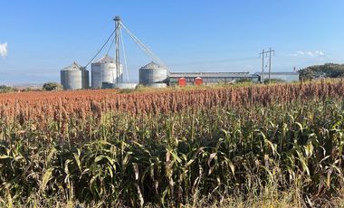 Venta Terreno Tlayecac, Ayala, Morelos