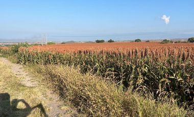 Venta Terreno Tlayecac, Ayala, Morelos