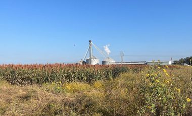 Venta Terreno Tlayecac, Ayala, Morelos