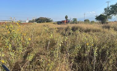 Venta Terreno Tlayecac, Ayala, Morelos