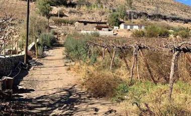 Sitio en Venta en vicuña