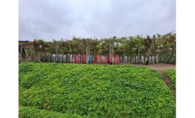 Oportunidad Unica !!! Construye Tu Casa De Campo Soñada En Cerro Azul !!!