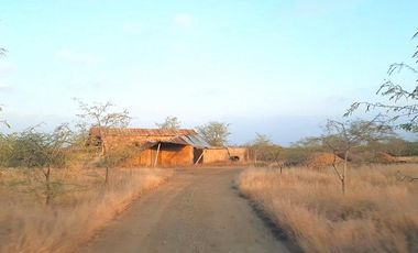 Terrenos Agricolas Venta Sector Quebrada Grande - TUMBES