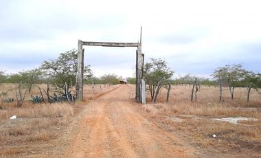Terrenos Agricolas Venta Sector Quebrada Grande - TUMBES