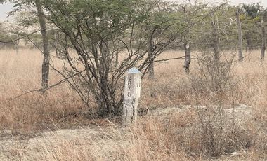 Terrenos Agricolas Venta Sector Quebrada Grande - TUMBES