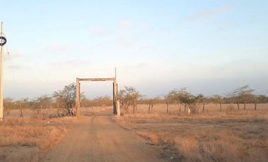 Terrenos Agricolas Venta Sector Quebrada Grande - TUMBES