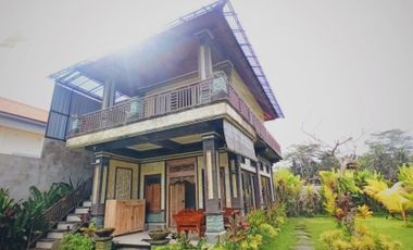 Rumah Siap Huni Banting Harga Lokasi Idaman Di Ubud Bali