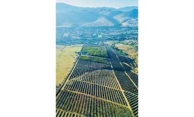 Nuevo Proyecto Maitén Sur Illapel Parcelas desde 5000 m2