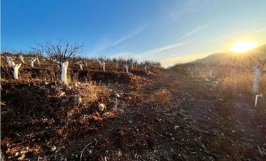Nuevo Proyecto Maitén Sur Illapel Parcelas desde 5000 m2