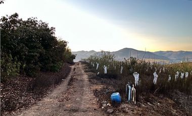 Nuevo Proyecto Maitén Sur Illapel Parcelas desde 5000 m2