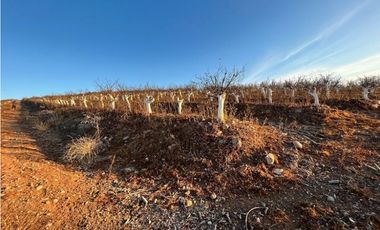 Nuevo Proyecto Maitén Sur Illapel Parcelas desde 5000 m2