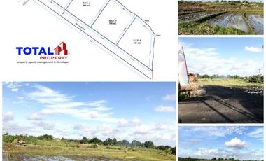 Dijual Tanah Kavling Mulai 300 m2 Dgn View Sawah Strategis Mulai 450 Jt/are di Tumbak Bayuh, Mengwi, Badung