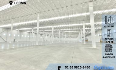 Industrial property in Lerma for rent