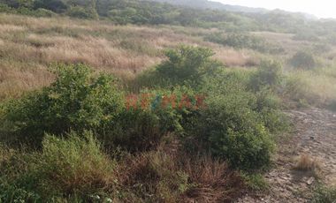 🌴 Terreno En Venta En Bocapán – Contralmirante Villar 🌟