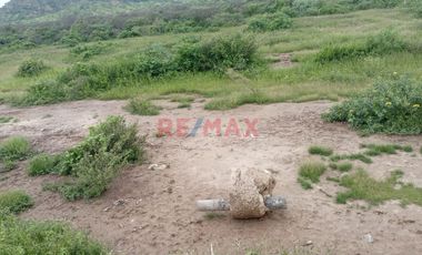 🌴 Terreno En Venta En Bocapán – Contralmirante Villar 🌟