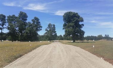 Parcela en venta en Purranque
