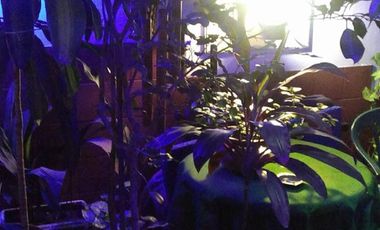 4 Amb. Al Frente con patio. 1 c/Av Saenz. BAJAS EXPENSAS $ 1.200.-