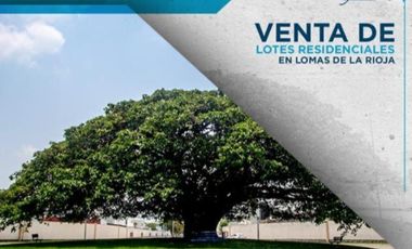 Terrenos en venta, Alvarado, Veracruz, Riviera Veracruzana