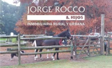 Casa Quinta  mejoras para caballos y 2.25 Has en Villa Elisa