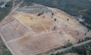 Sitio en Venta en Angol - Villa Trinte
