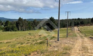 Sitio en Venta en Angol - Villa Trinte