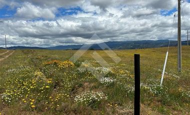 Sitio en Venta en Angol - Villa Trinte
