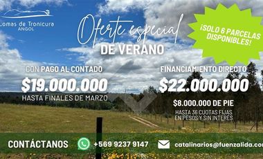 Sitio en Venta en Angol - Villa Trinte