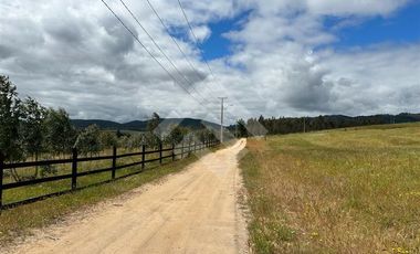 Sitio en Venta en Angol - Villa Trinte
