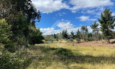Sitio en Venta en Angol - Villa Trinte